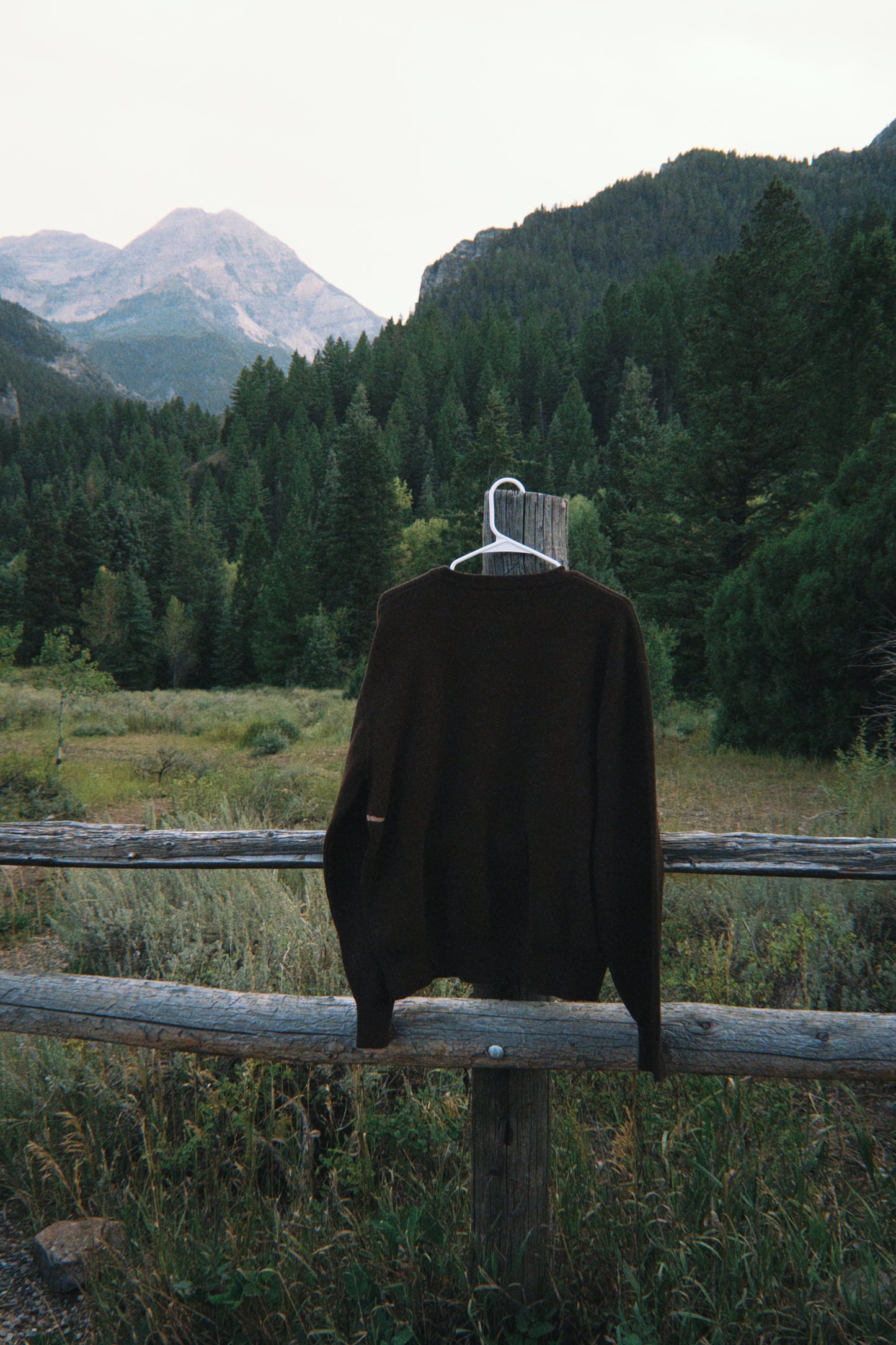 Espresso Script Knit